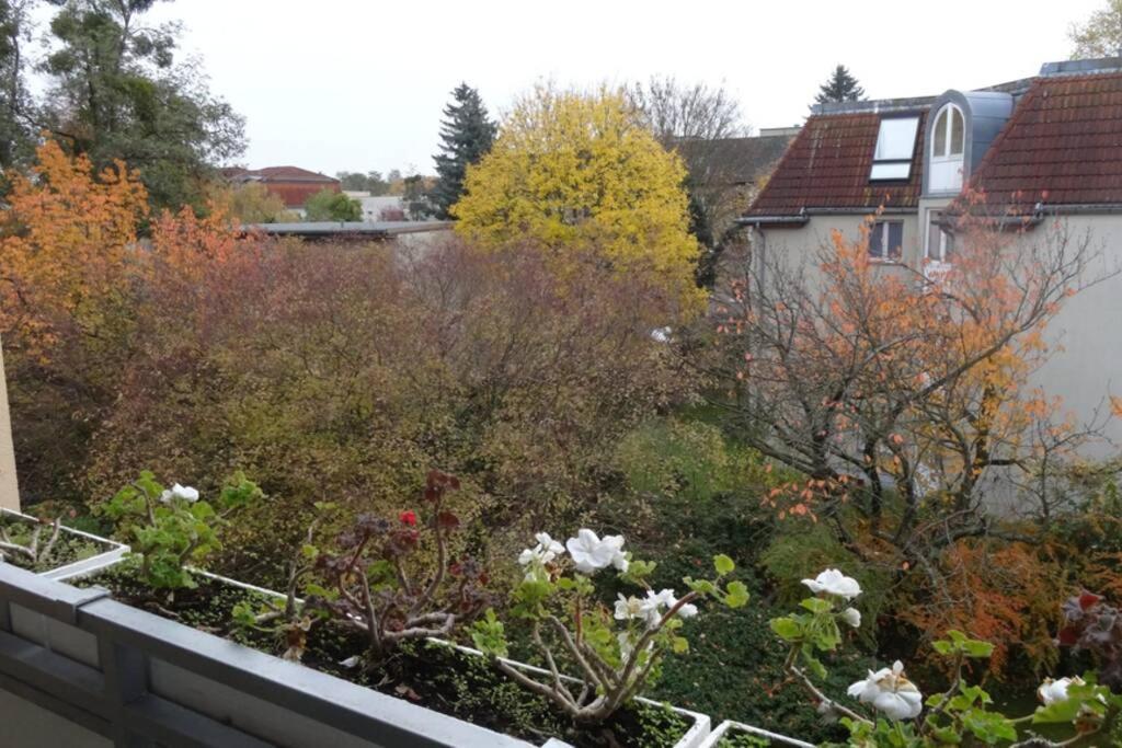 Schoene, Ruhige Wohnung In Berlin-Steglitz Exterior foto