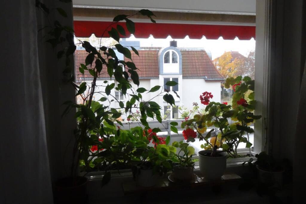 Schoene, Ruhige Wohnung In Berlin-Steglitz Exterior foto